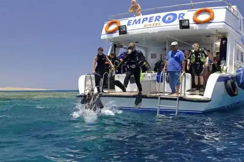 Red Sea Diving & Dolphin Snorkel Expedition - Tour