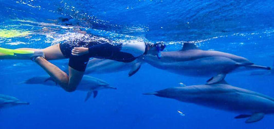 Red Sea Diving & Dolphin Snorkel Expedition - Tour
