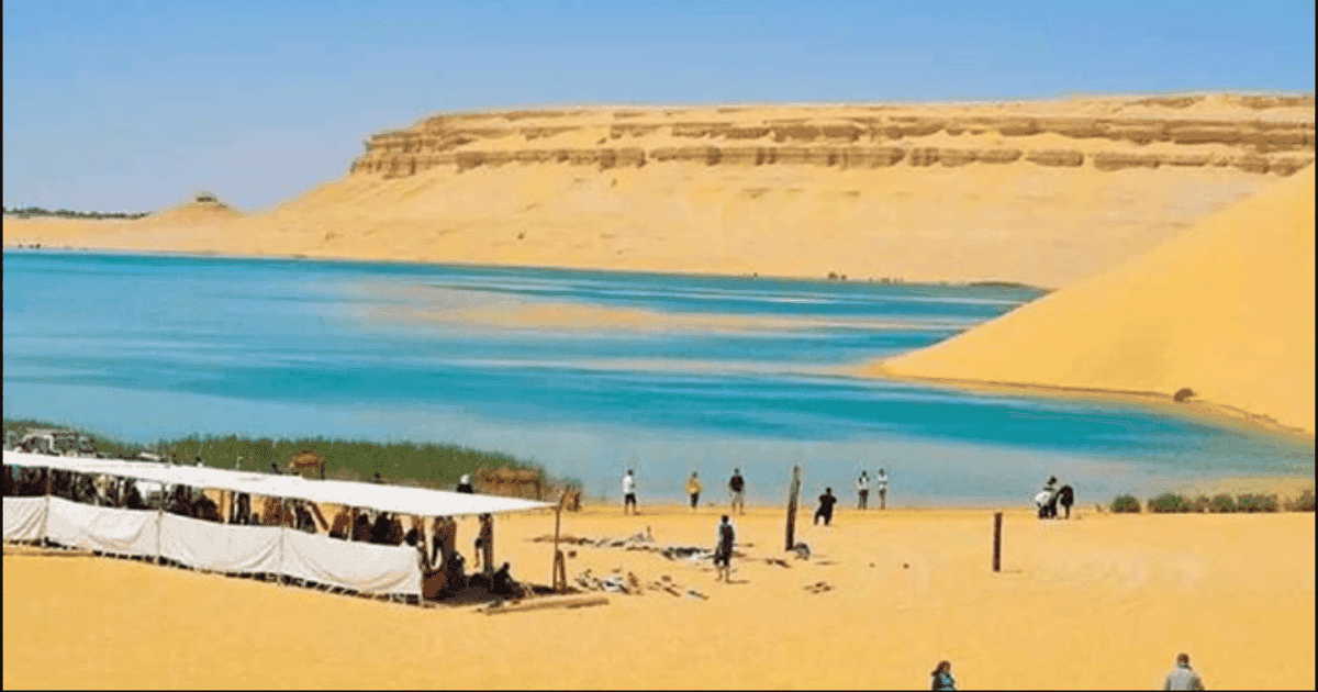 Fayoum Oasis 4x4 & Sandboarding Adventure - Adventure Tour