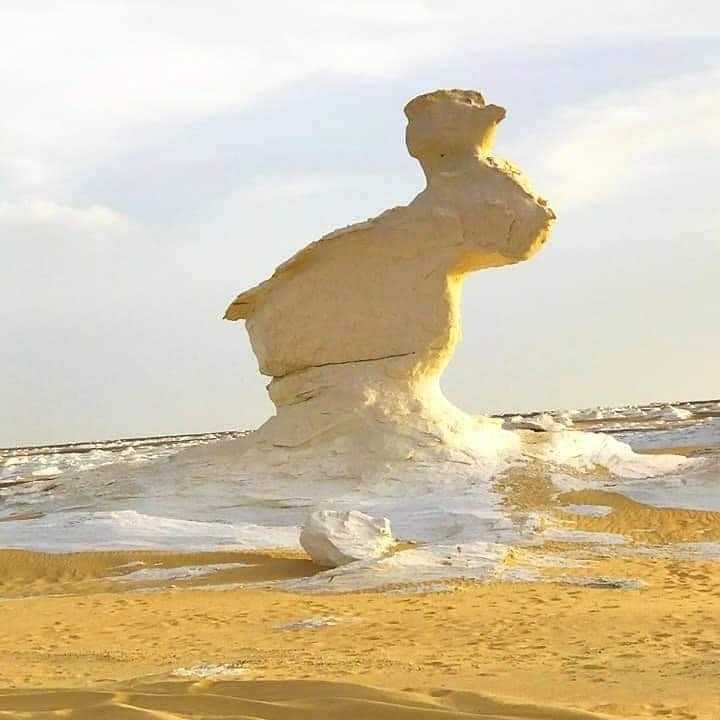 White & Black Desert Camping Adventure (2 Days/1 Night) - Activity